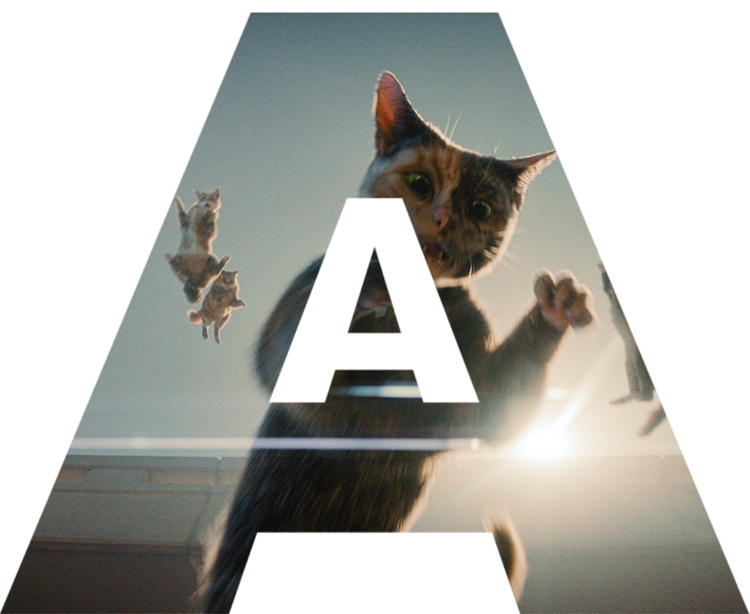 CATS WILL DO ANYTHING featured image